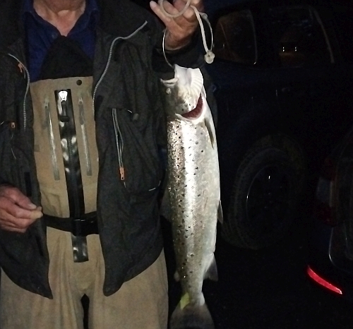 Fiskekonkurrence2026/2026_08_30_2.2kg mini.jpg